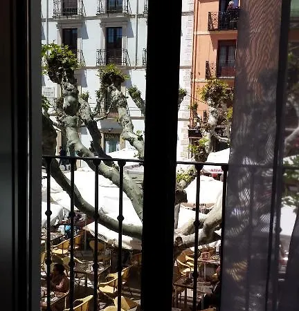 Apolonia Hotel 3*